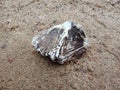 Black and white stone with texture on the sand. textured background wallpaper, beach. ocean. Royalty Free Stock Photo