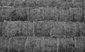 Black and white straw bales texture Royalty Free Stock Photo