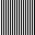 Black and White Stripes Seamless Pattern