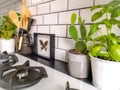 Black and white subway tiled kitchen with numerous plants and framed taxidermy insect art