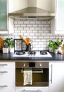 Black and white subway tiled kitchen with numerous plants and framed taxidermy insect art