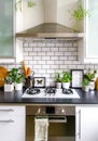 Black and white subway tiled kitchen with numerous plants and framed taxidermy insect art