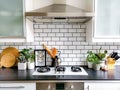 Black and white subway tiled kitchen with numerous plants and framed taxidermy insect art