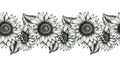 Black and white sunflowers seamless border, realistic wildflowers decorative illustration, sunflower ink art, black floral sketch Royalty Free Stock Photo