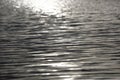 Black and white Sunrise reflection on water surface Royalty Free Stock Photo