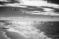 Black and white sunset with kite surfers on sea Royalty Free Stock Photo