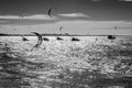 Black and white sunset with kite surfers on sea Royalty Free Stock Photo