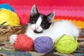 Black and white tabby kitten with balls of yarn Royalty Free Stock Photo