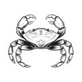 Black And White Tattoo Illustration Of A Crab In Flat Shading Style
