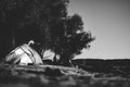 Black and white tent on the beach; camping under full moon