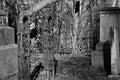 Ruins of metal gateposts in overgrown cemetery Royalty Free Stock Photo