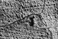 Black and white texture of a concrete wall with a crack Royalty Free Stock Photo
