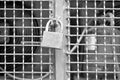 Black and white texture of metal grate with padlock Royalty Free Stock Photo