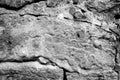 Black and white texture of plastered wall Royalty Free Stock Photo