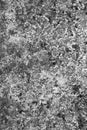 Black and white texture of rusty steel plate Royalty Free Stock Photo