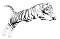 Black And White Tiger Jump Illustration Design