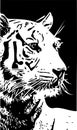 Black and white tiger portrait vector illustration Royalty Free Stock Photo