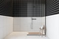 Black and white tiled shower in bathroom