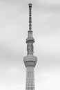 Black and White Tokyo Skytree Royalty Free Stock Photo