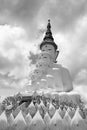 Black and white tone of multiple of buddha statue Royalty Free Stock Photo