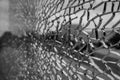 Selective focus, broken crack glass window. Royalty Free Stock Photo
