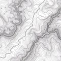 Black and White Topographical Map Illustration: High-Contrast Contour Lines Depicting Complex Terrain and Elevation Changes in a Royalty Free Stock Photo