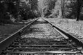 Black and White Train Tracks