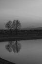 Black and White Tree Reflection Lake Mountains Royalty Free Stock Photo