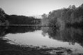 Black and white tree reflections in Loch Lomond Scotland