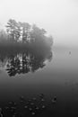 Black and white tree shadows on yates Mill Pond Raleigh NC Royalty Free Stock Photo