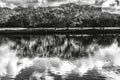 Black White Trees Clouds Ala Wai Canal Reflection Honolulu Hawaii