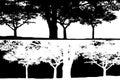 Black and white trees scene silhouette vector. Royalty Free Stock Photo
