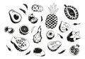 Black and White Tropical Fruits Vector Set. Durian, Lychee, Pineapple and Dragon Fruit. Carambola, Figs, Garnet, Papaya