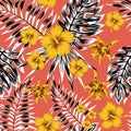 Black white tropical leaves yellow flowers red background Royalty Free Stock Photo