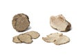 Black and white truffle Royalty Free Stock Photo