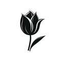 Black Tulip Silhouette: Personal Iconography In Graphic Illustration