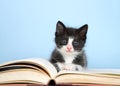 Black and white tuxedo kitten sitting on large story book, blue background