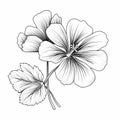 Black And White Vector Drawing Of Geranium Leaf