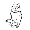 Black and white vector drawing of a Samoyed dog. A cute pet is sitting and waiting for the owner. The big shaggy dog