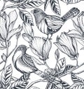 Black and white vector floral seamless pattern of magnolia flowers, branches and birds. Royalty Free Stock Photo