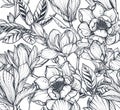 Black and white vector floral seamless pattern of magnolia flowers and branches. Royalty Free Stock Photo