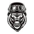 A bear in biker helmet