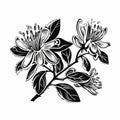 Black And White Floral Print In Tonga Art Style