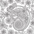 Black and white vector illustration with a chameleon in ethnic patterns on the flowering branch. It can be used as