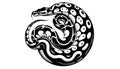 A black and white vector illustration depicting a coiled snake. T Royalty Free Stock Photo