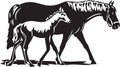 Black and White Horses Mare and Foal Illustration Royalty Free Stock Photo