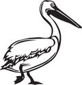 Black and White Pelican Illustration