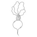 Black and white vector illustration of radish for coloring page. Cartoon style