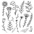 Black and white vector illustration set with simple plants and flower.