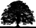 Black and white vector image of a large tree silhouette.